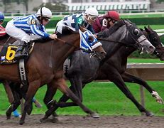 Image result for Horse Racing Tribal
