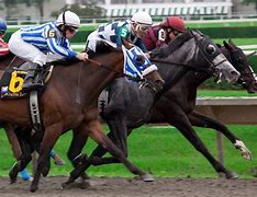 Image result for Japan Horse Racing
