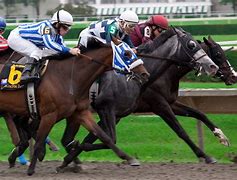 Image result for Horse Racing Dirt Track