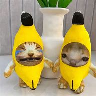 Image result for Banana Cat Temu