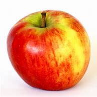 Image result for Red Rubens Apple