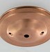 Image result for Concealed Ceiling Hooks