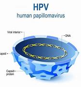 Image result for Early Genital Human Papillomavirus