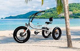 Image result for Three-Wheeled Electric Bike