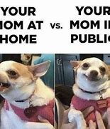 Image result for Chihuahua Meme Girl
