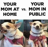 Image result for Chihuahua Vietnam Meme