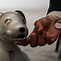 Image result for Aibo Robot Cat