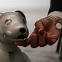 Image result for Aibo 3.1L