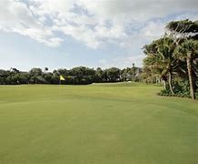 Image result for Tiger Woods Golf in Orlando FL