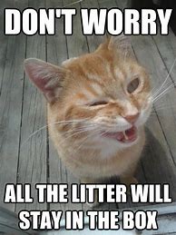 Image result for Sarcastic Cat Memes