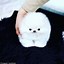 Image result for 10 Cutest Dogs in the World