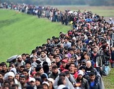 Image result for European Migrants Italy