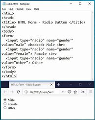 Image result for html radio button