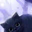 Image result for Cheshire Cat Vibe Wallpaper