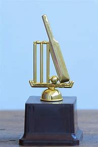 Image result for Bronze Cricket Trophies