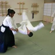 Image result for Female Martial Arts Masters