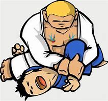 Image result for Brazilian Jiu-Jitsu