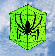 Image result for Best Large Hexagon Box Kite