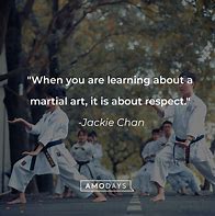 Image result for Martial Arts Belts Quotes