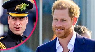 Image result for Prince Harry and Prince William Book