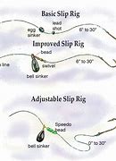 Image result for Catfish Rigs for Lakes