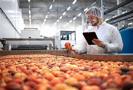 Image result for agroindustriao