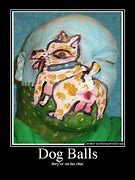 Image result for Funny Dog Balls