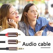 Image result for RCA Y Cable Subwoofer