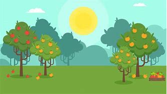 Image result for A Big Apple Tree Cartoon