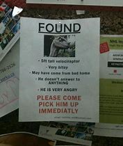 Image result for Funny Lost and Found