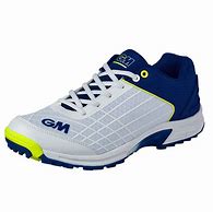 Image result for Cricket Shoes Heights
