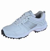 Image result for Men's Cricket Shoes