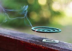 Image result for Mosquito Coil
