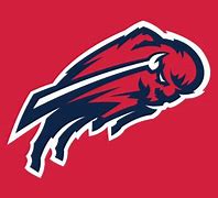 Image result for Buffalo Bills Concept Logo