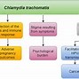 Image result for Chlamydia in Women vs Men