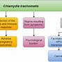 Image result for C. Trachomatis Treatment