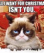 Image result for Angry Cat Christmas Meme