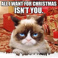 Image result for Best Grumpy Cat Christmas Meme