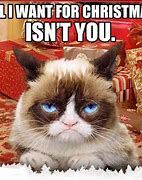 Image result for Merry Christmas Grumpy Cat Meme