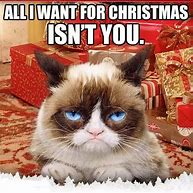 Image result for Grumpy Cat Gifts Meme