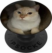 Image result for Popsocket Cat