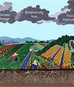 Image result for Agricultural science