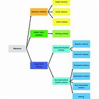 Image result for Different Memory Types