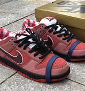 Image result for Nike SB Red Shoes