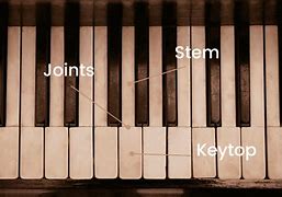 Image result for Keyboard Key Parts