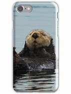 Image result for Otter iPhone 5 Case