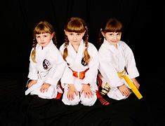 Image result for Family Karate Showcase