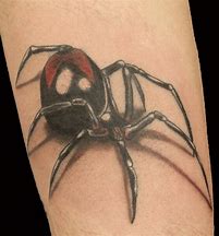 Image result for Redback Spider Tattoo