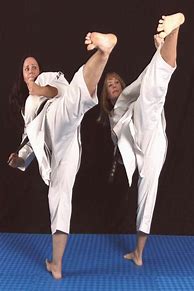 Image result for Martial Arts Ladies