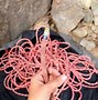 Image result for Climbing Gear